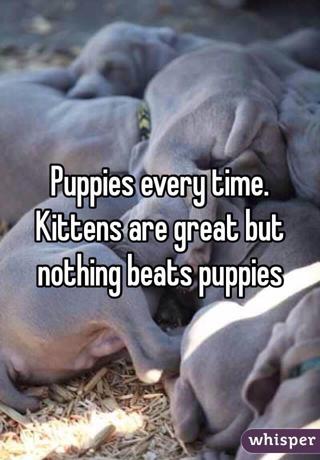 Puppies every time. Kittens are great but nothing beats puppies 