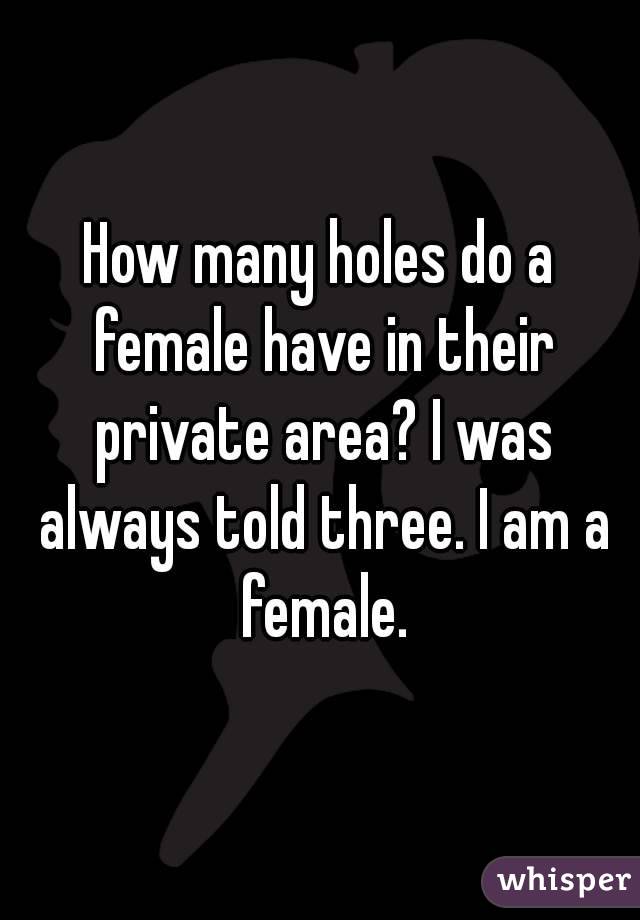 How many holes do a female have in their private area? I was always told three. I am a female.