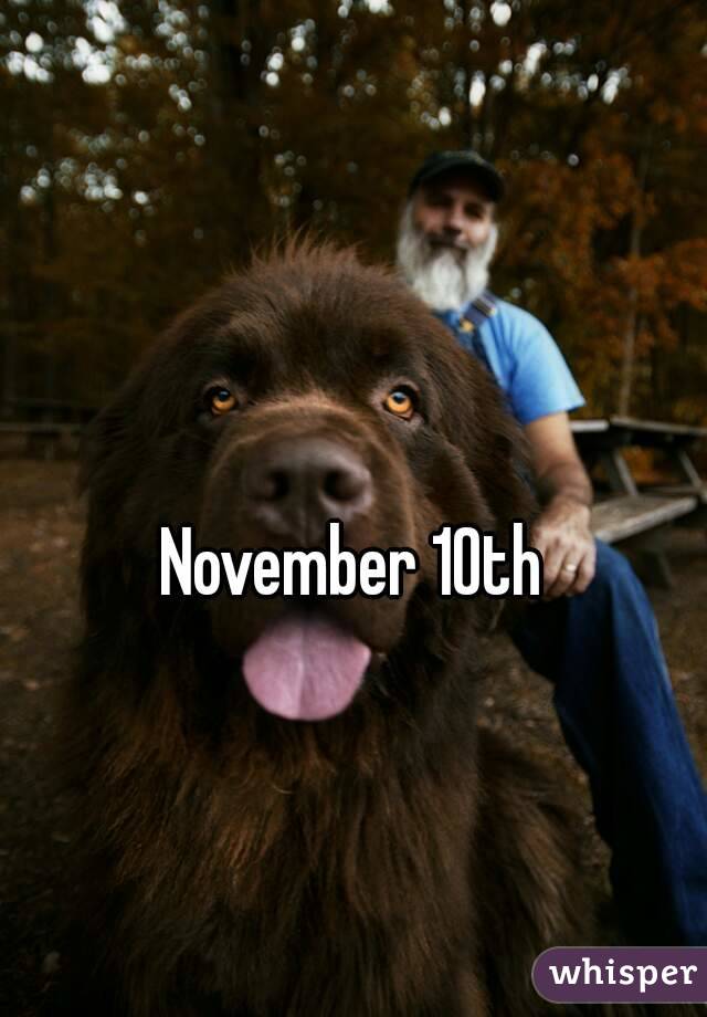 November 10th