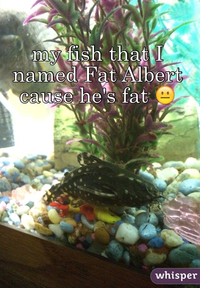 my fish that I named Fat Albert cause he's fat 😐