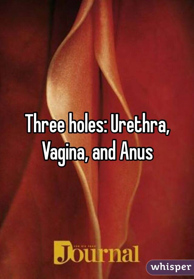 Three holes: Urethra, Vagina, and Anus