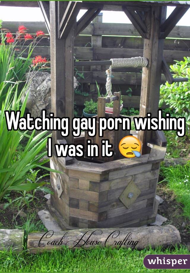 Watching gay porn wishing I was in it 😪