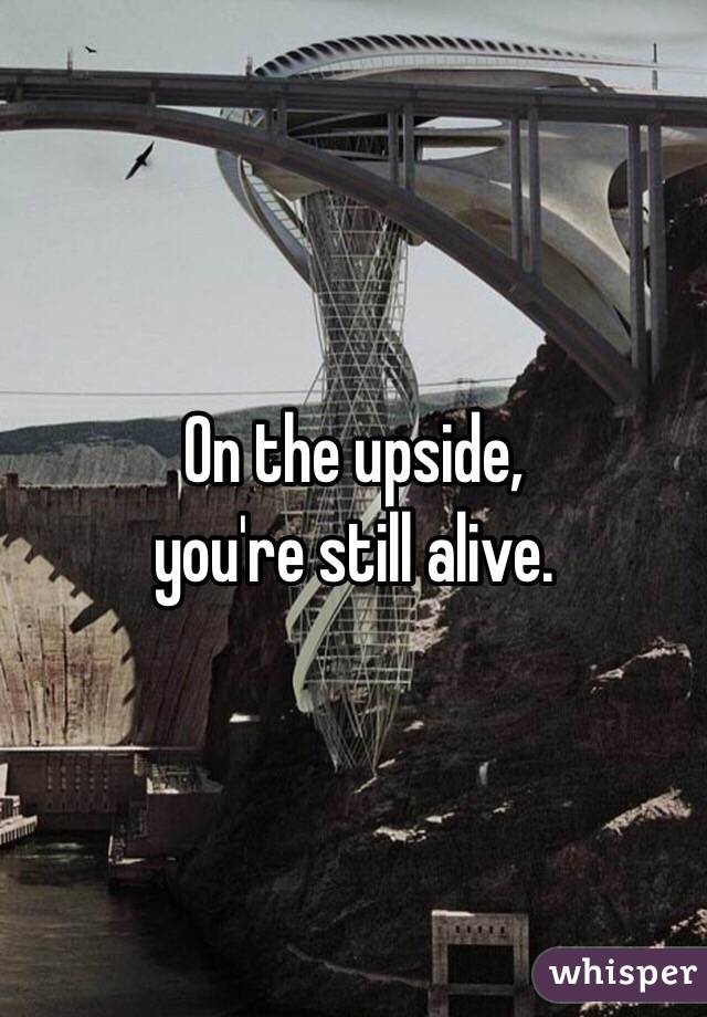 On the upside,
you're still alive.
