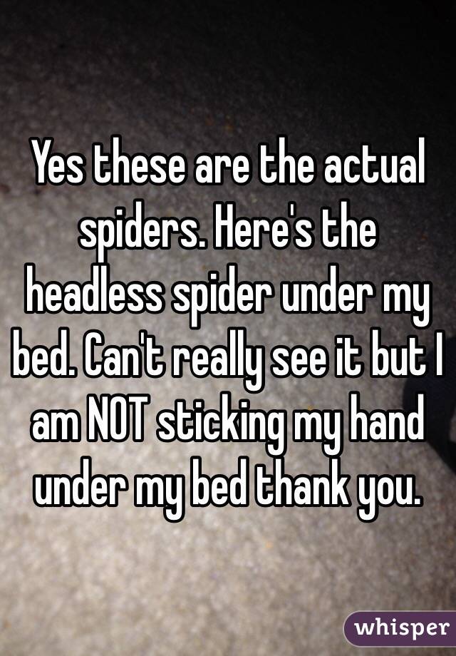 Yes these are the actual spiders. Here's the headless spider under my bed. Can't really see it but I am NOT sticking my hand under my bed thank you. 