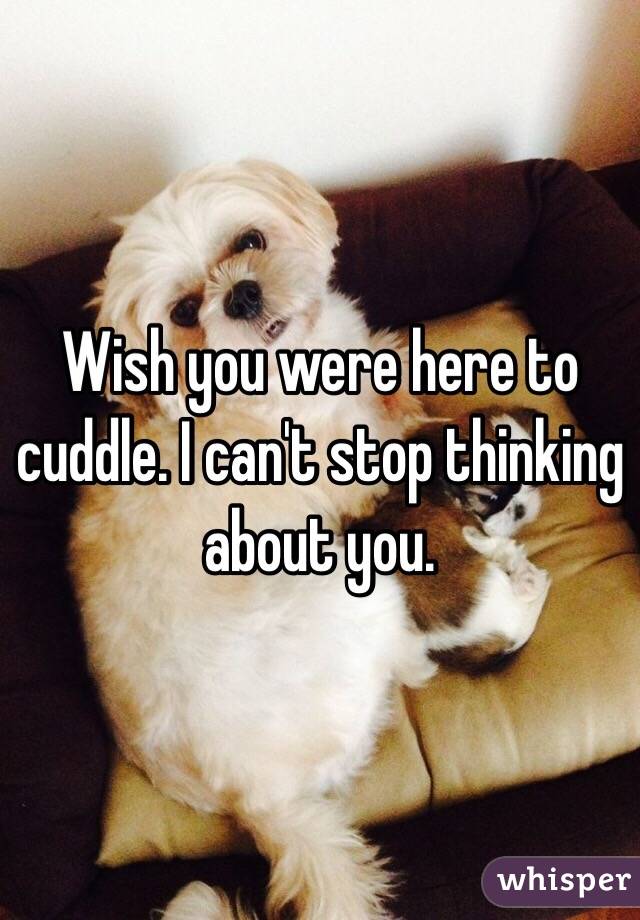 Wish you were here to cuddle. I can't stop thinking about you. 