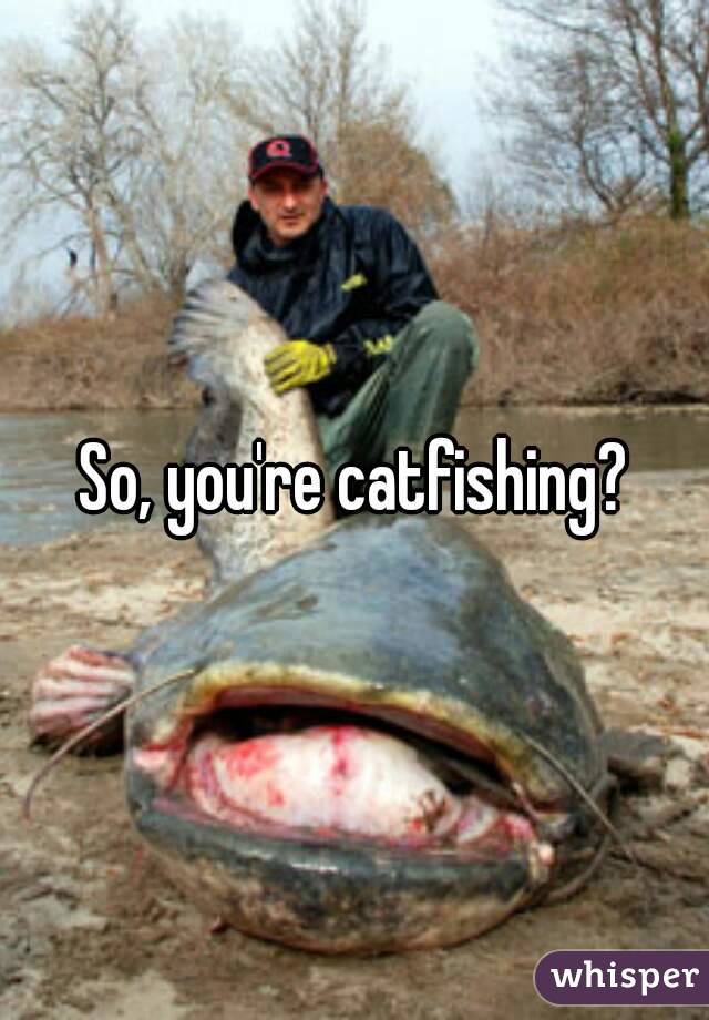 So, you're catfishing?
