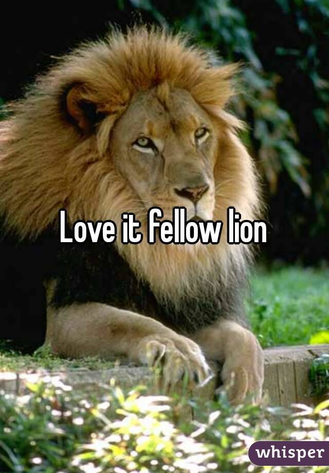 Love it fellow lion