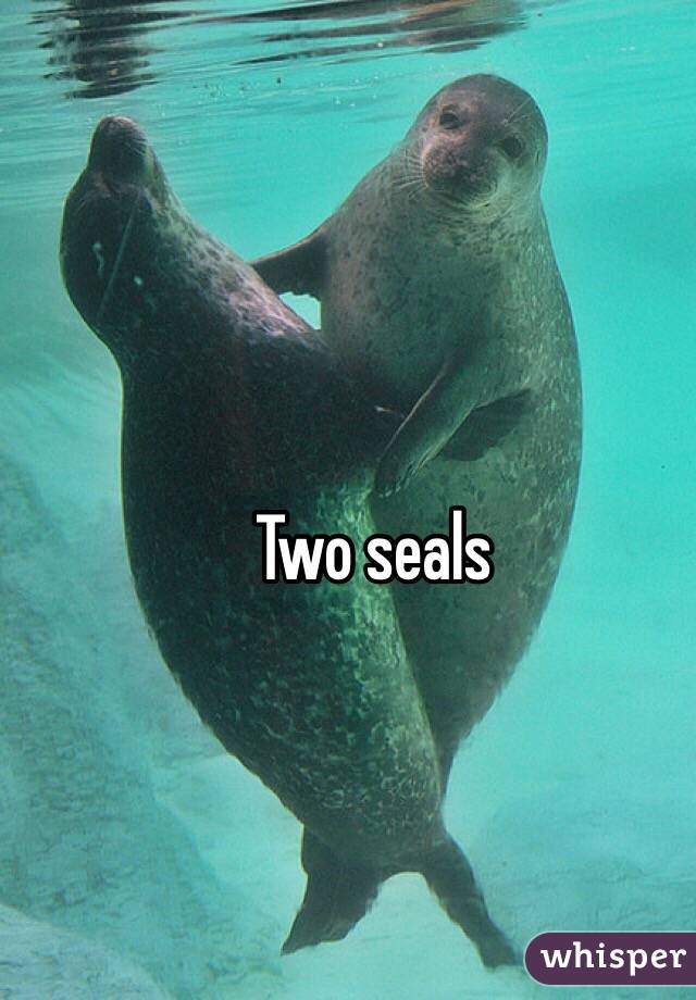 Two seals 