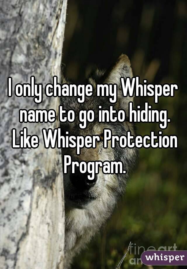 I only change my Whisper name to go into hiding. Like Whisper Protection Program.