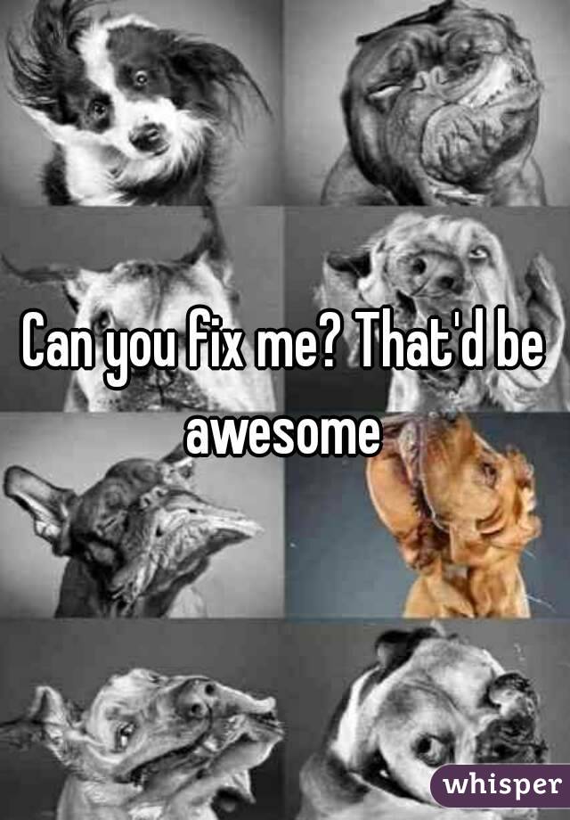 Can you fix me? That'd be awesome 