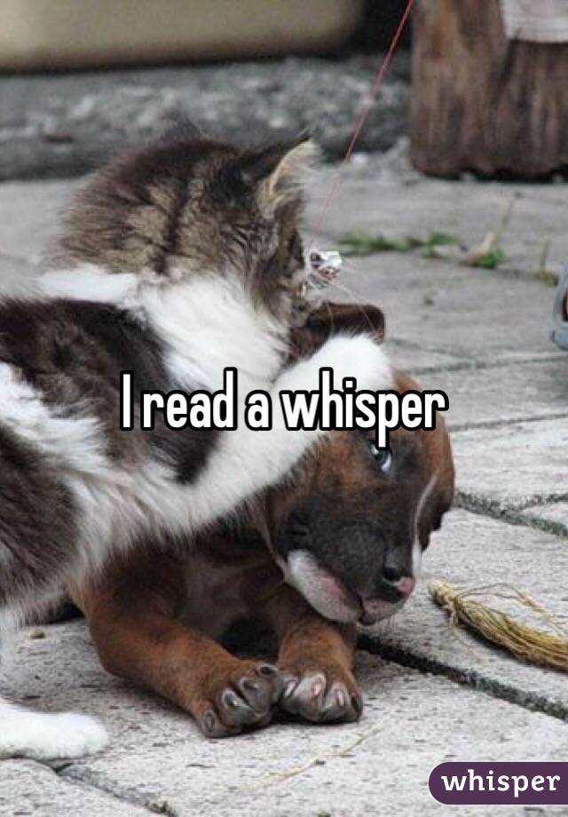 I read a whisper 