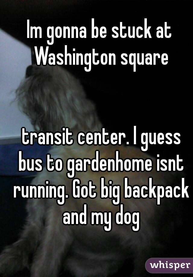Im gonna be stuck at Washington square


 transit center. I guess bus to gardenhome isnt running. Got big backpack and my dog

