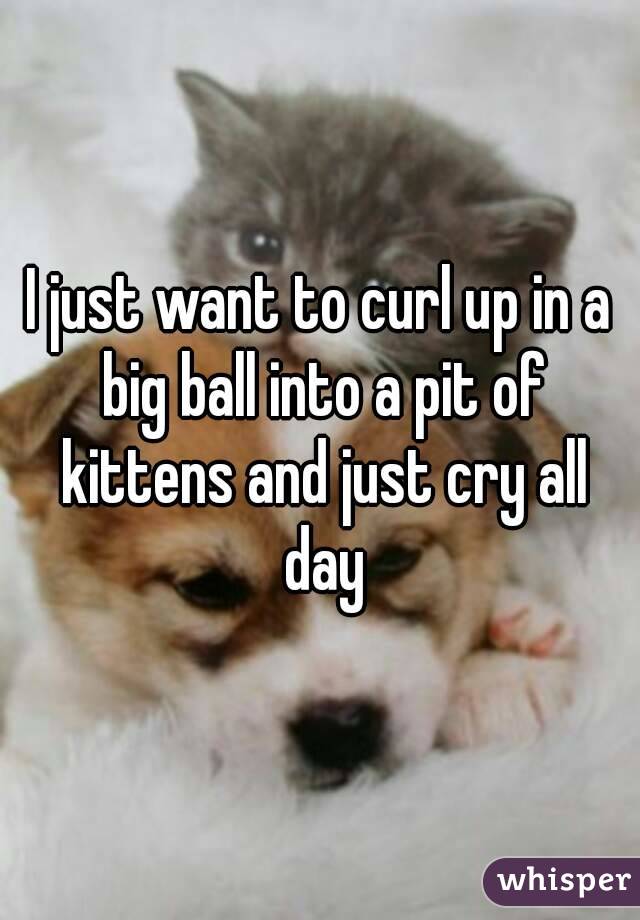 I just want to curl up in a big ball into a pit of kittens and just cry all day