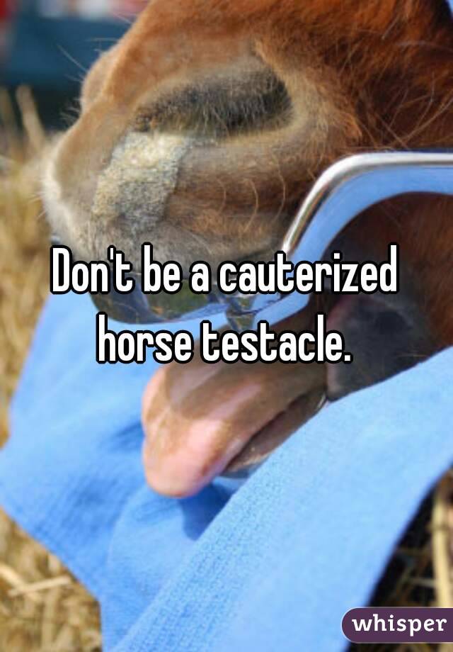 Don't be a cauterized horse testacle. 