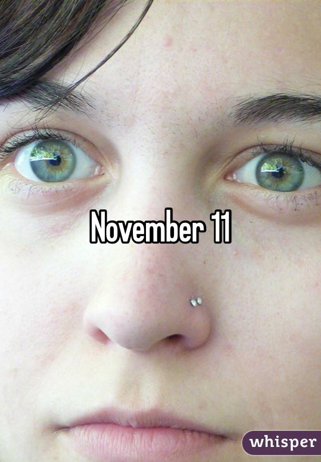 November 11