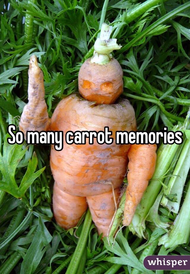 So many carrot memories
