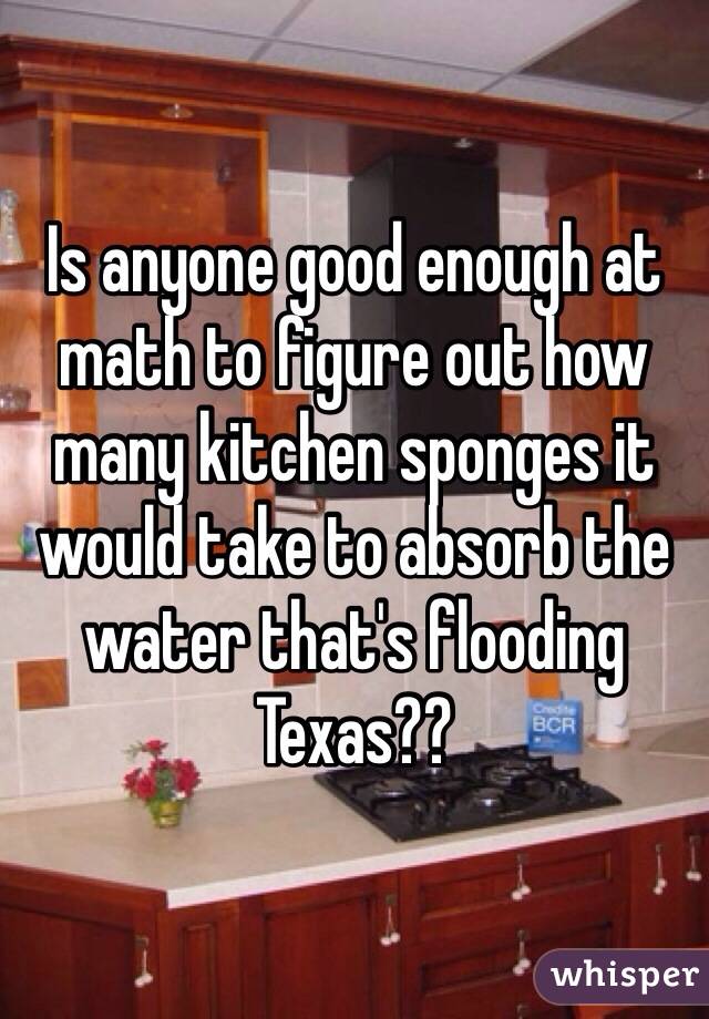 Is anyone good enough at math to figure out how many kitchen sponges it would take to absorb the water that's flooding Texas??
