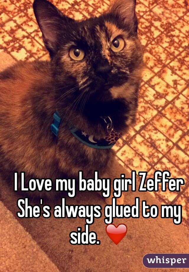 I Love my baby girl Zeffer 
She's always glued to my side. ❤️
