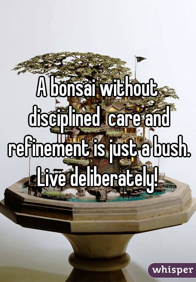 A bonsai without disciplined  care and refinement is just a bush.
Live deliberately!