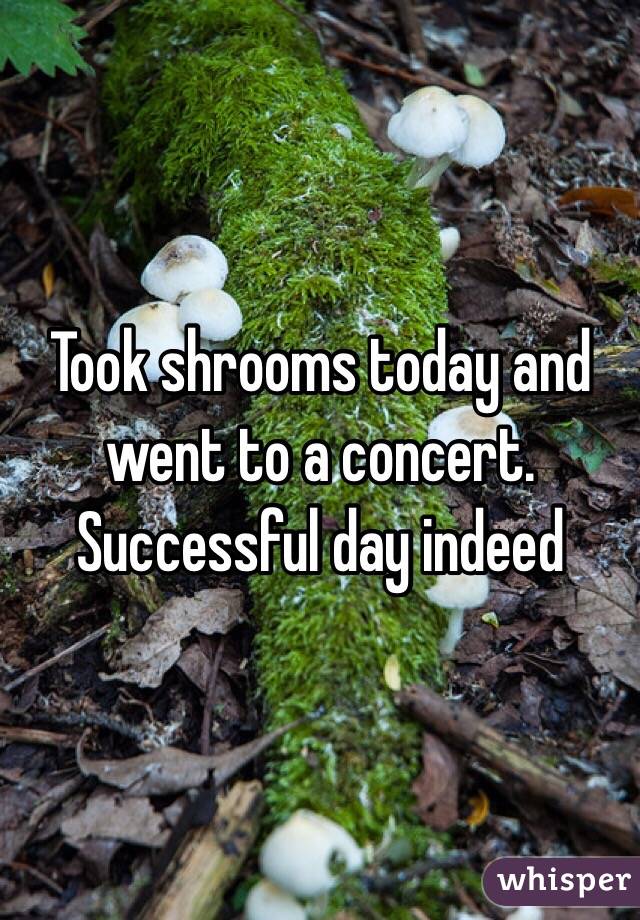 Took shrooms today and went to a concert. Successful day indeed