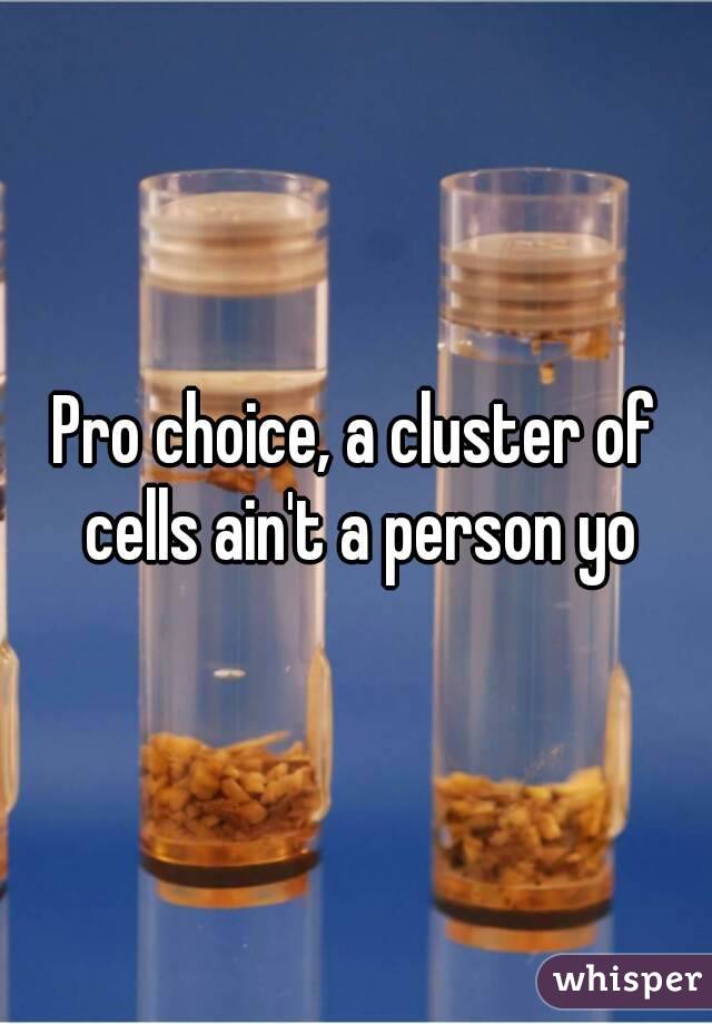 Pro choice, a cluster of cells ain't a person yo
