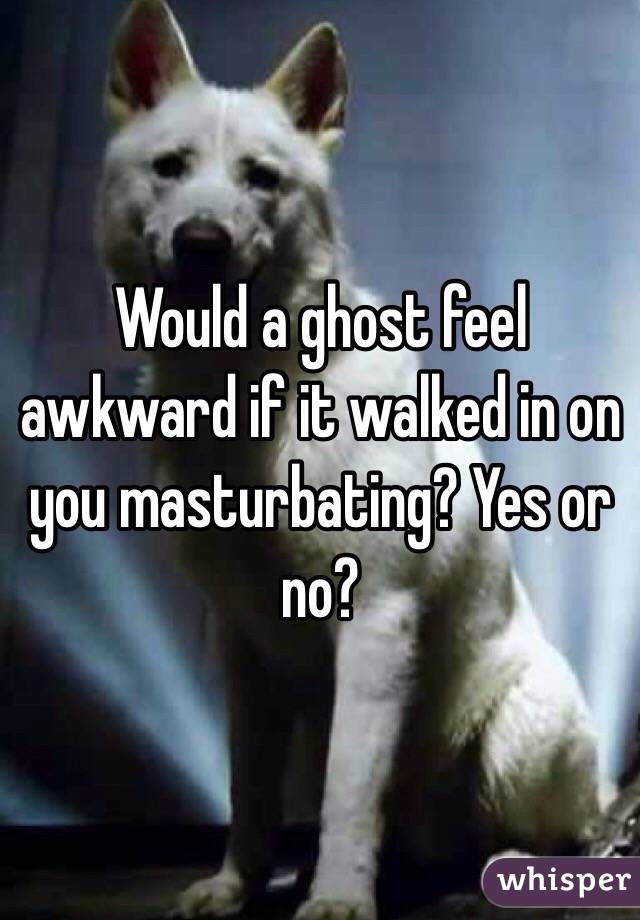 Would a ghost feel awkward if it walked in on you masturbating? Yes or no? 