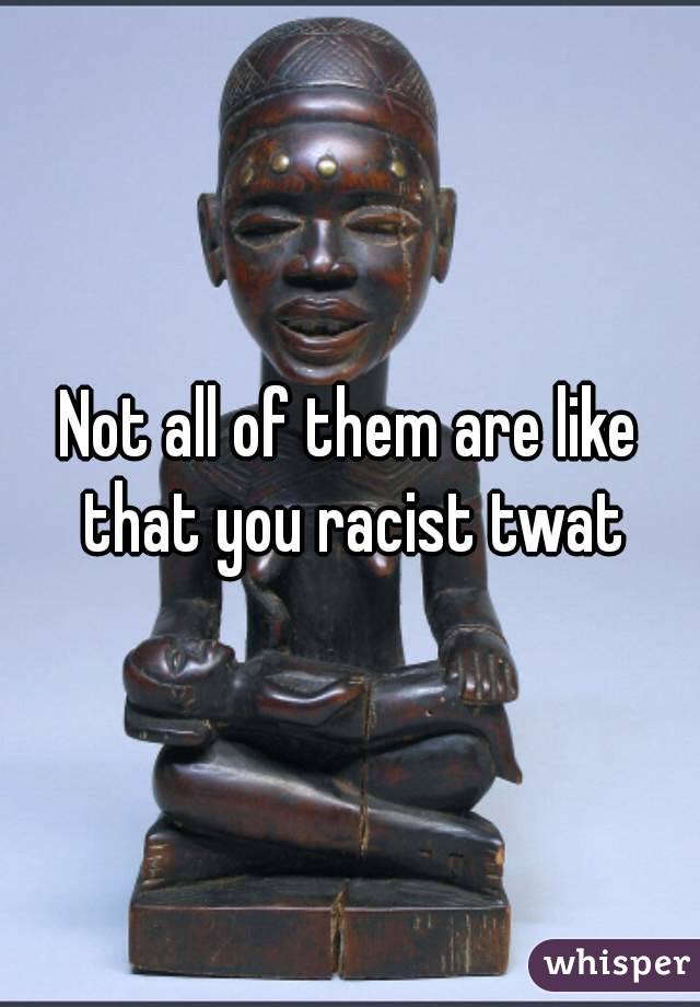 Not all of them are like that you racist twat