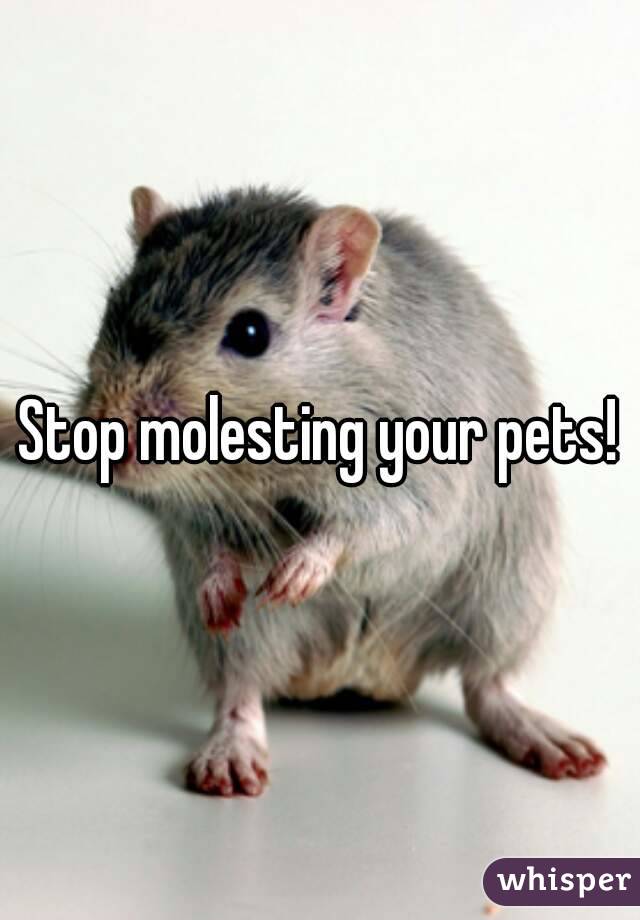 Stop molesting your pets!