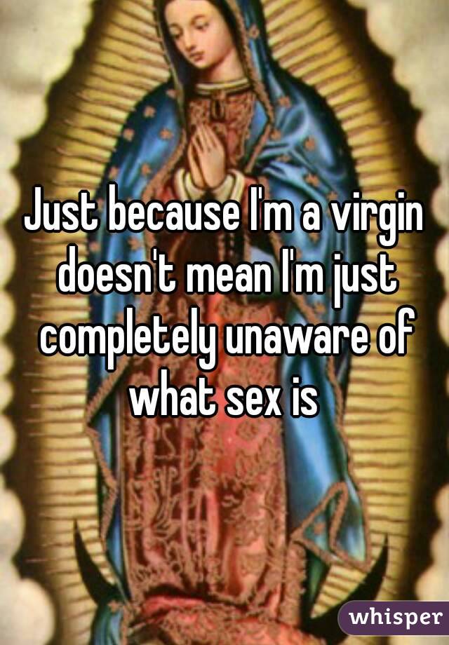 Just because I'm a virgin doesn't mean I'm just completely unaware of what sex is 