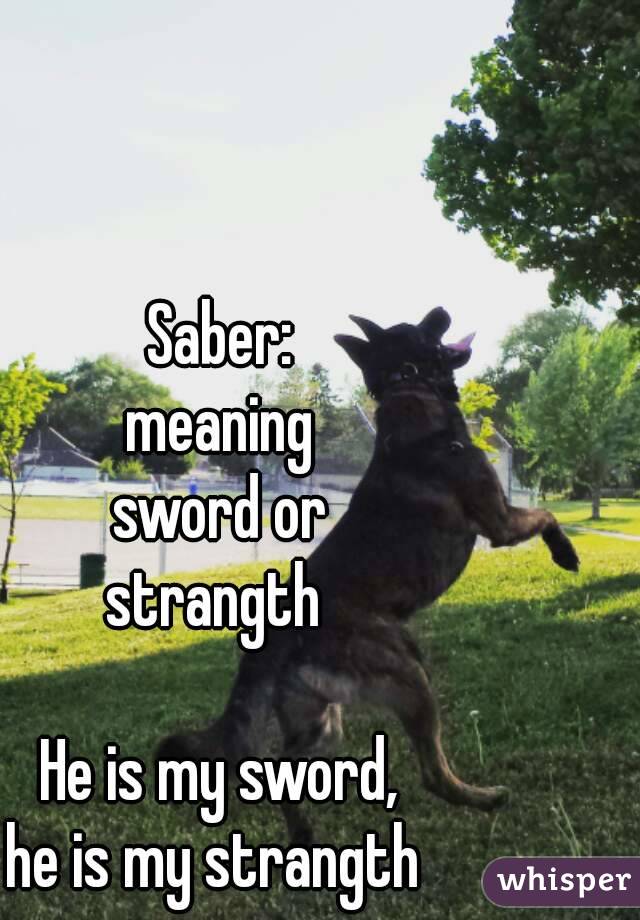 Saber: 
meaning 
sword or 
strangth  

He is my sword, 
he is my strangth  
