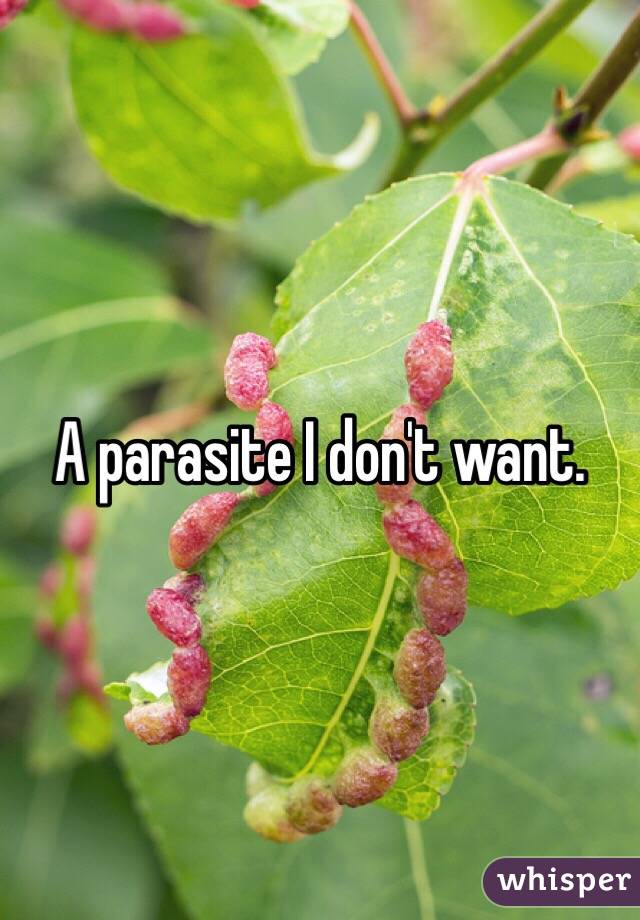 A parasite I don't want.