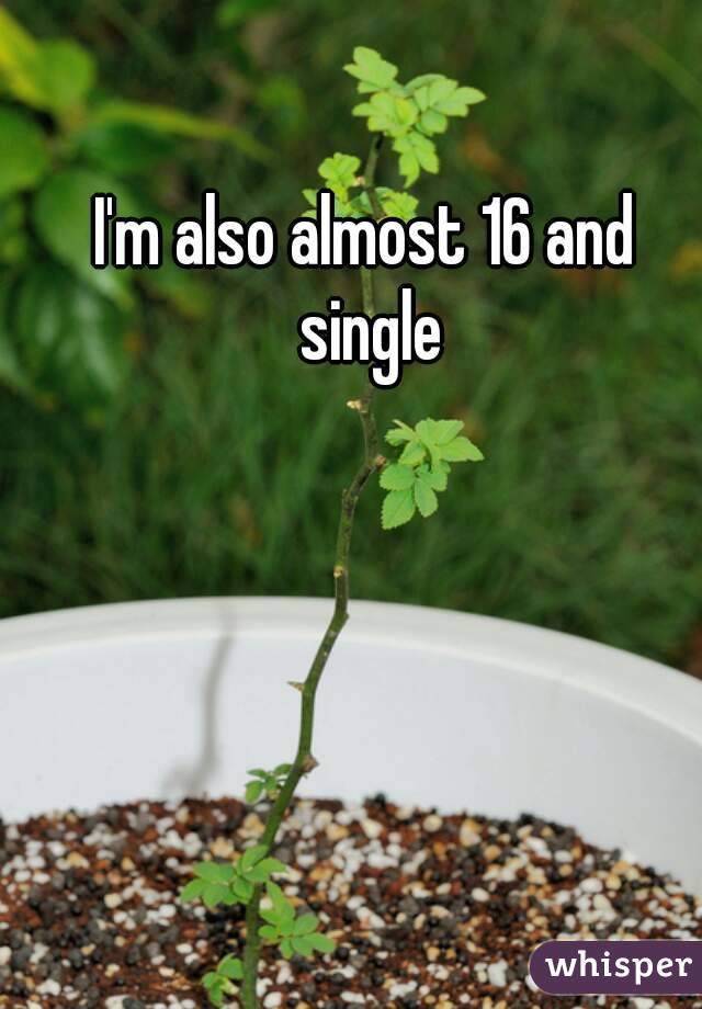 I'm also almost 16 and single
