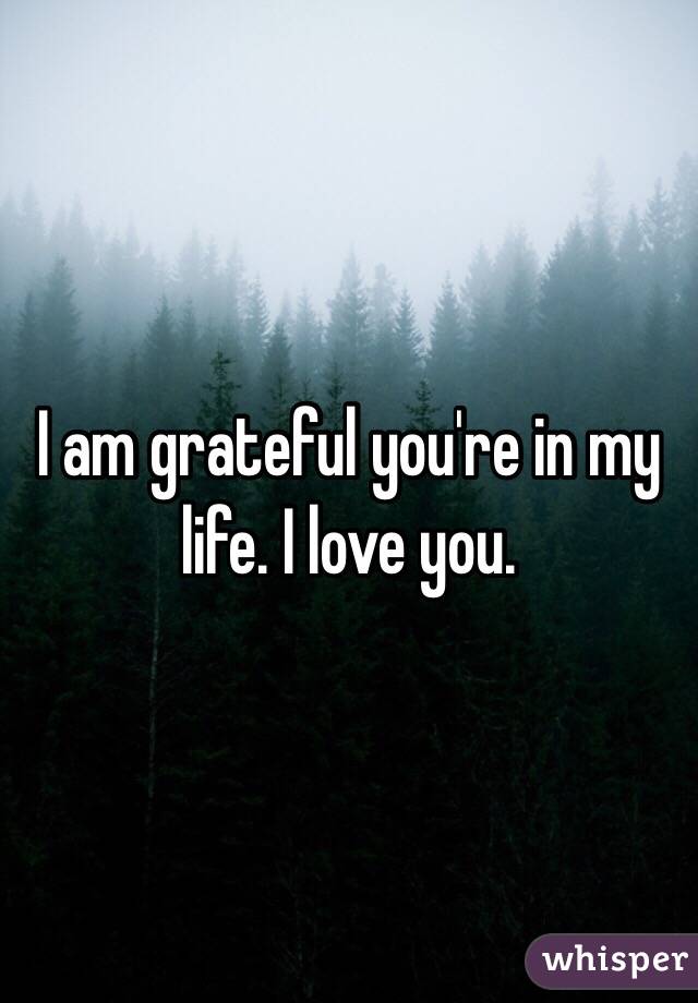 I am grateful you're in my life. I love you.