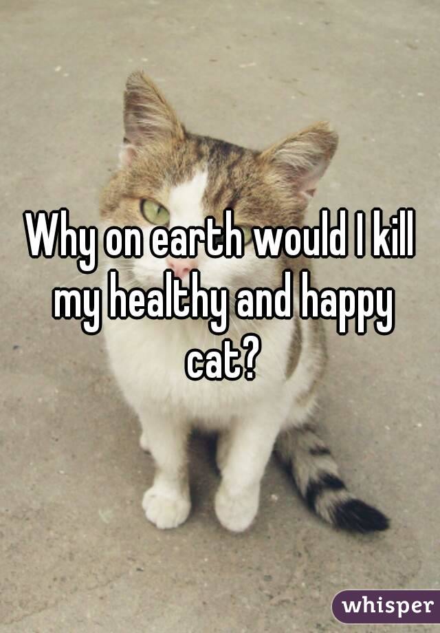 Why on earth would I kill my healthy and happy cat?