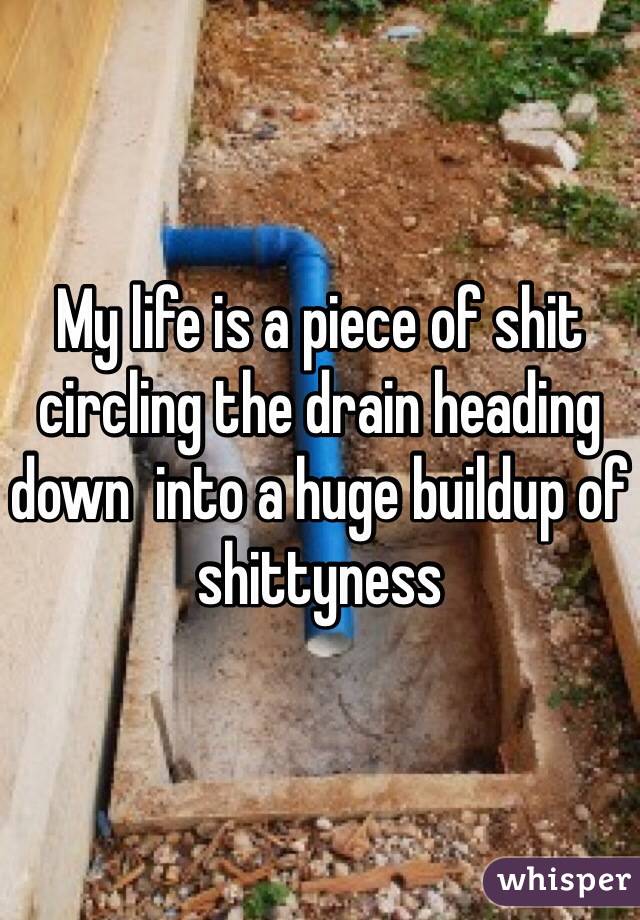 My life is a piece of shit circling the drain heading down  into a huge buildup of shittyness 