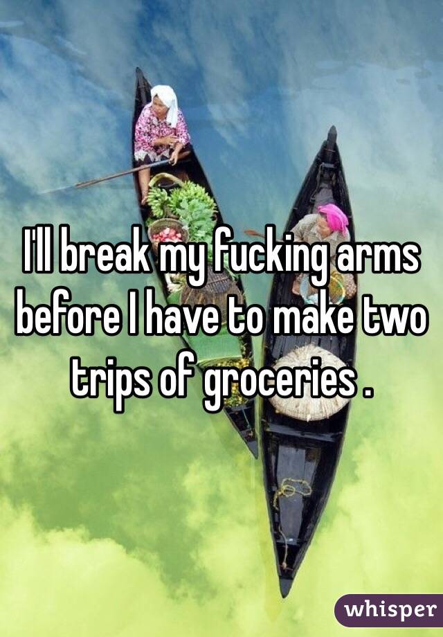 I'll break my fucking arms before I have to make two trips of groceries .