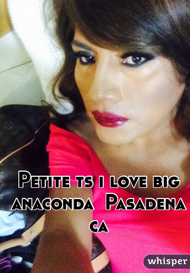 Petite ts i love big anaconda  Pasadena ca