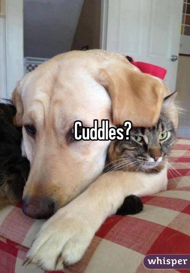 Cuddles?