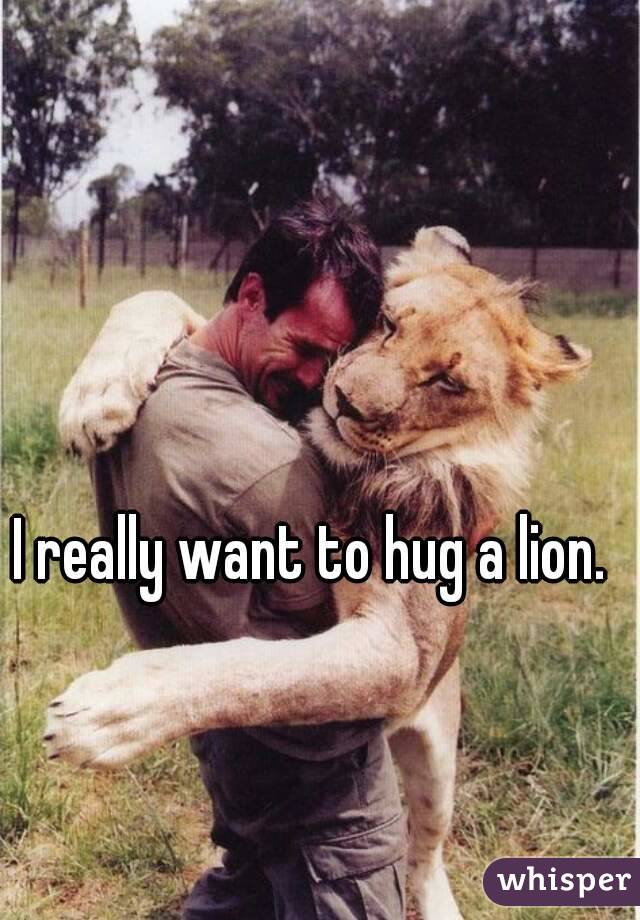 I really want to hug a lion.