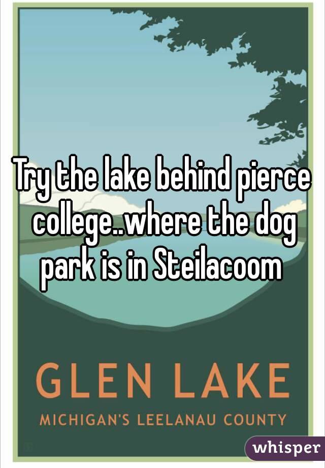 Try the lake behind pierce college..where the dog park is in Steilacoom 