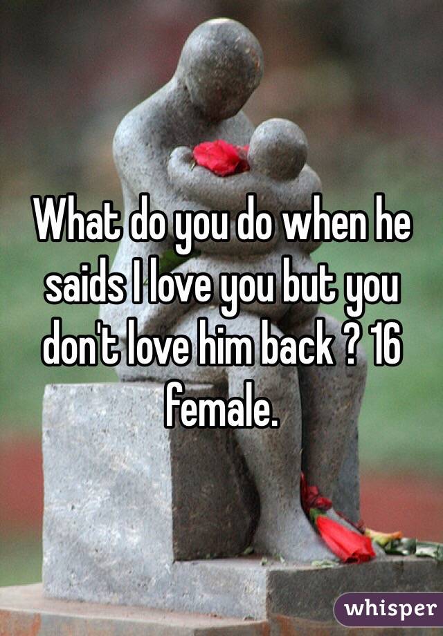 What do you do when he saids I love you but you don't love him back ? 16 female. 
