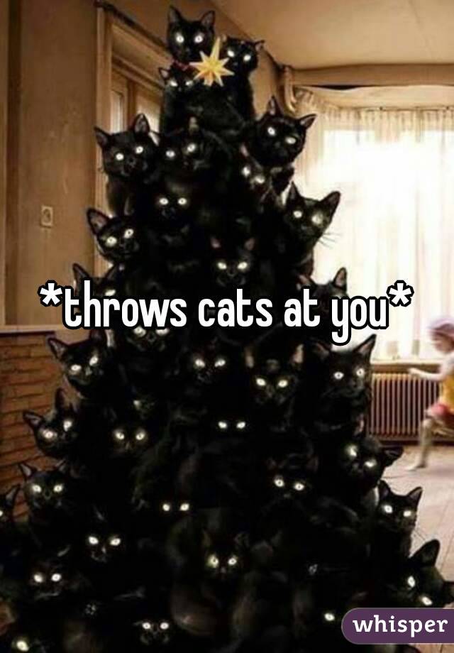 *throws cats at you*