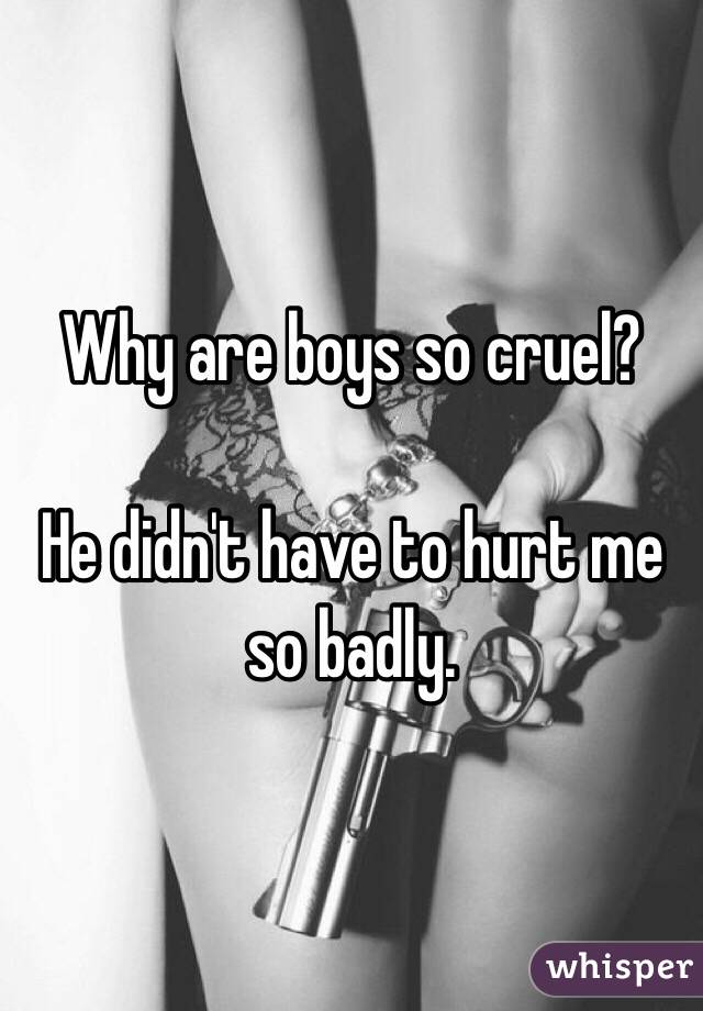 Why are boys so cruel? 

He didn't have to hurt me so badly. 