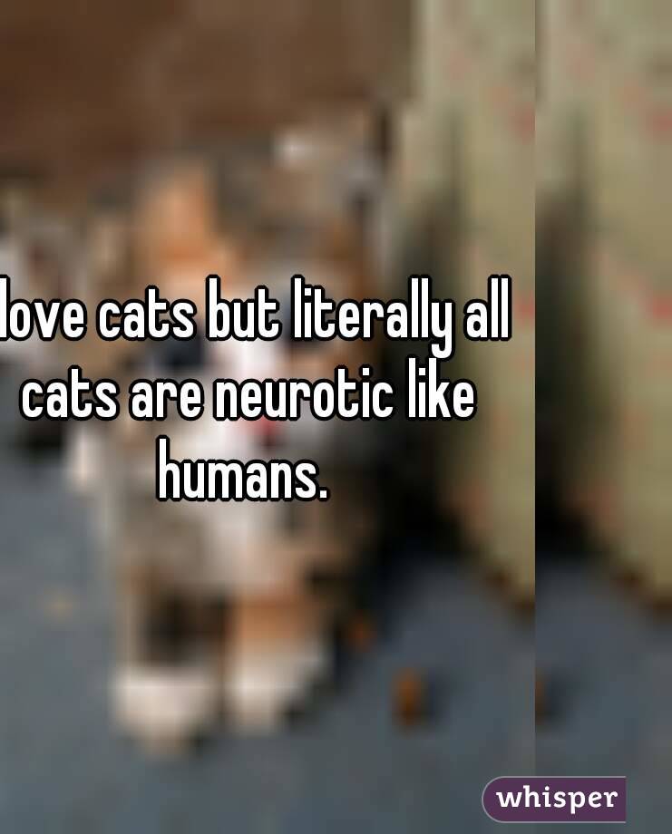 I love cats but literally all cats are neurotic like humans. 