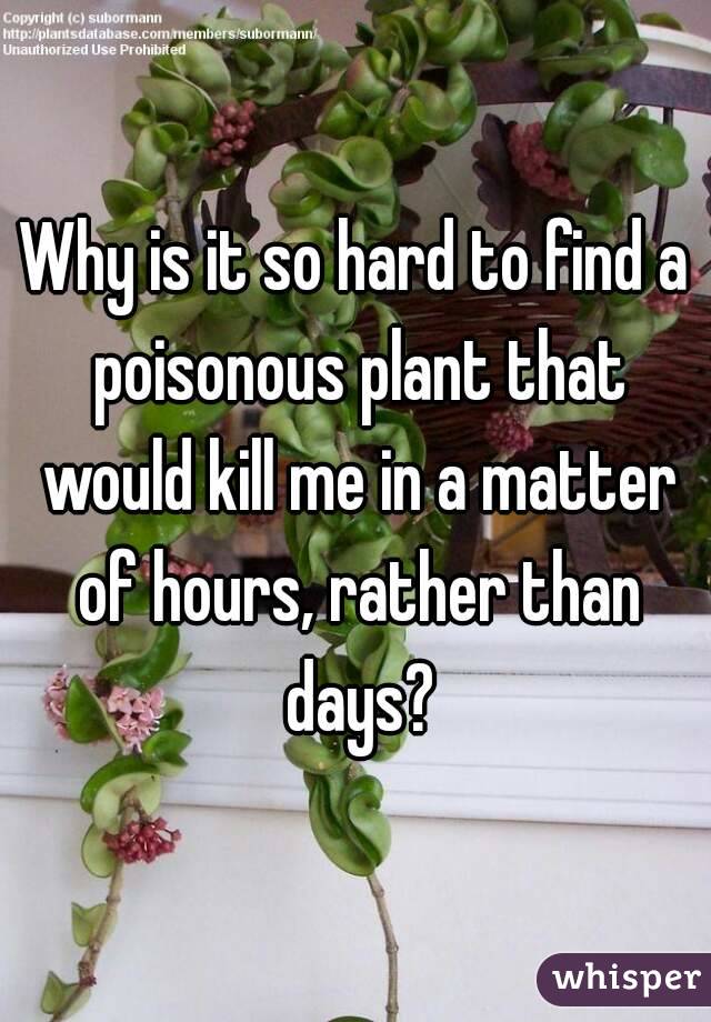 Why is it so hard to find a poisonous plant that would kill me in a matter of hours, rather than days?