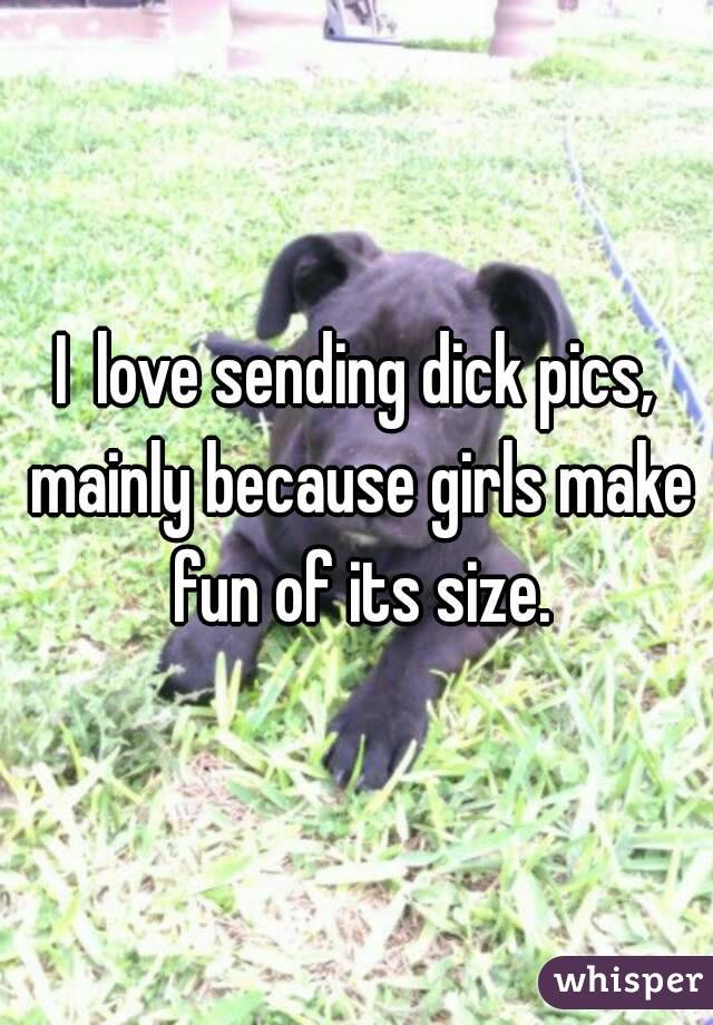 I  love sending dick pics, mainly because girls make fun of its size.