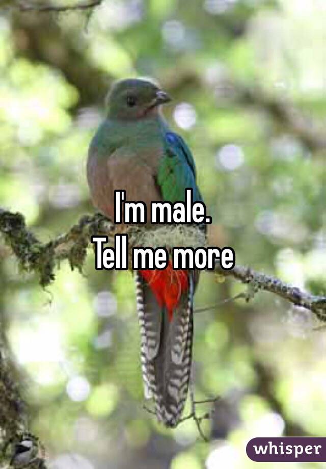 I'm male. 
Tell me more 