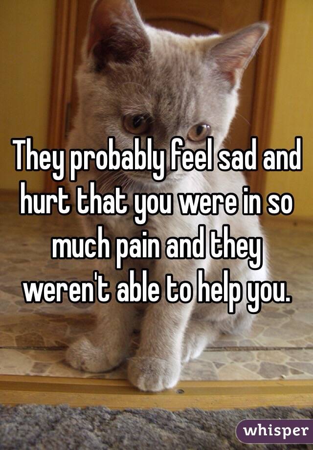 They probably feel sad and hurt that you were in so much pain and they weren't able to help you. 