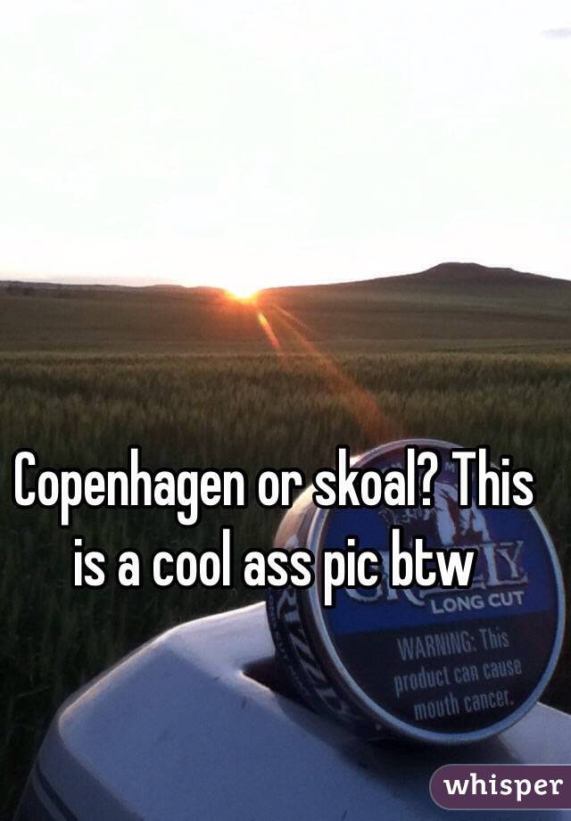 Copenhagen or skoal? This is a cool ass pic btw 