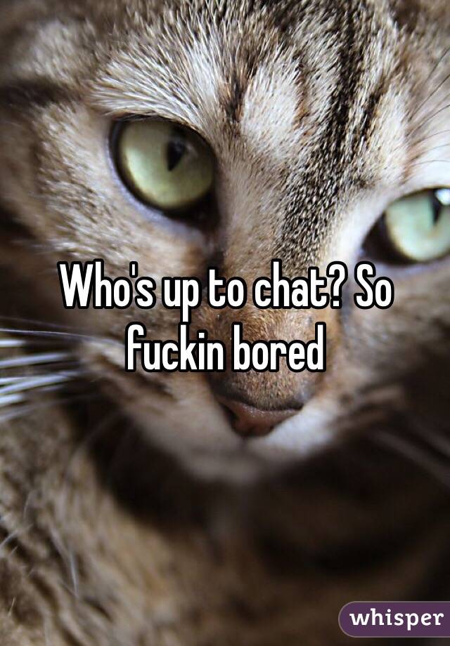 Who's up to chat? So fuckin bored 